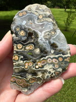 8th Vein Ocean Jasper Slab #38