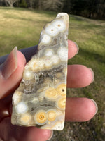8th Vein Ocean Jasper Polished Free Form #13