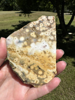 8th Vein Ocean Jasper Slab #132