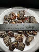 Madagascar Raw Amber Specimens BIN #1