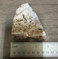 8th Vein Ocean Jasper Slab #41