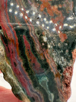 8th Vein Ocean Jasper Slab #60