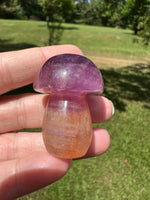 Colorful Fluorite Mushroom Carving #5