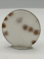 Scenic Dendritic Agate Cabochon #1