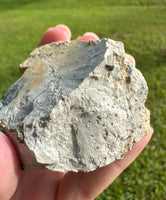 Pyrite Crystals, Malvern, Arkansas