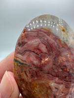 Money Agate Palm Stone #2