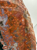 8th Vein Ocean Jasper Slab #25