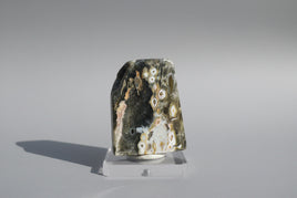 8th Vein Ocean Jasper Polished Free Form #10