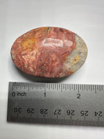 Money Agate Palm Stone #2