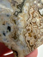8th Vein Ocean Jasper Slab #65