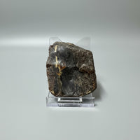 Raw Amber Specimen #8
