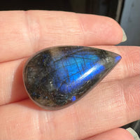 Pearshape Labradorite Cabochon 74a