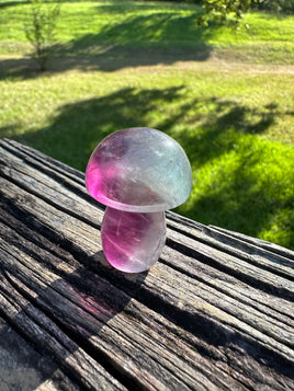 Colorful Fluorite Mushroom Carving #14