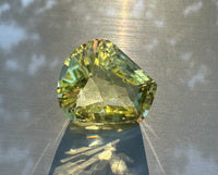 Fancy Checker Prasiolite 20x18mm 28.70ct