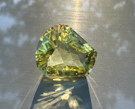 Fancy Checker Prasiolite 20x18mm 28.70ct