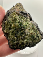 Peridot From Peridot Mesa, Arizona San Carlos Basalt, Gila County