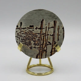 Natural Picture Jasper Slab with Stand #12