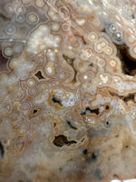 8th Vein Ocean Jasper Slab #47