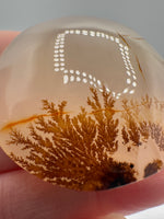 Designer Dendritic Agate Cabochon #2