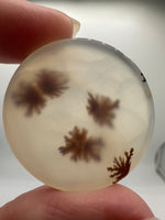 Scenic Dendritic Agate Cabochon #9