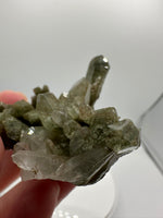 Chlorite Included Himalaya Quartz Crystal from Pakistan