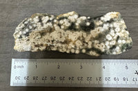 8th Vein Ocean Jasper Slab #34