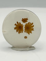 Scenic Dendritic Agate Cabochon #4
