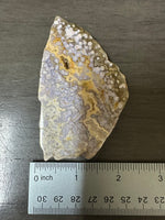8th Vein Ocean Jasper Slab #74
