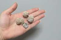 Desert Rose Selenite