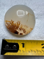 Designer Dendritic Agate Cabochon #2