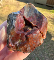 Savannah River Agate Specimen 1h