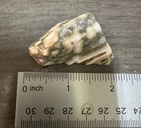 8th Vein Ocean Jasper Polished Free Form #29