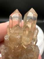 Natural Kundalini Citrine Lightbrary Crystal #11 – DR Congo