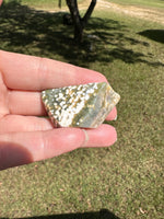 Ocean Jasper Free-form #4