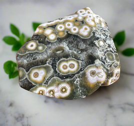 8th Vein Ocean Jasper Polished Free Form #6