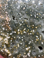 8th Vein Ocean Jasper Slab #9