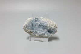 Celestite Cluster Specimen #6