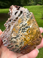 8th Vein Ocean Jasper Slab #40
