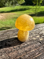 Colorful Fluorite Mushroom Carving #8