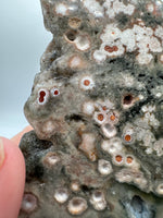8th Vein Ocean Jasper Slab #21