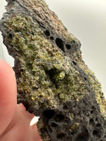 Peridot From Peridot Mesa, Arizona San Carlos Basalt, Gila County