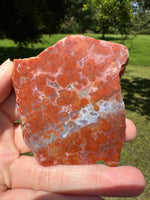 8th Vein Ocean Jasper Slab #118