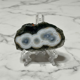 6th Vein Ocean Jasper Polished Freeform with Case