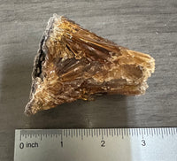 Natural Amber Calcite Raw Specimen UV Reactive #18