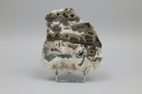 8th Vein Ocean Jasper Slab #62