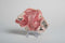 Rhodochrosite Slab #1 – Rose Pink Banded Polished Collector Specimen