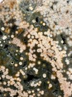 8th Vein Ocean Jasper Slab #22