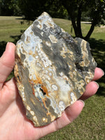 8th Vein Ocean Jasper Slab #133