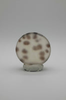 Scenic Dendritic Agate Cabochon #11