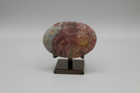 Money Agate Palm Stone #2